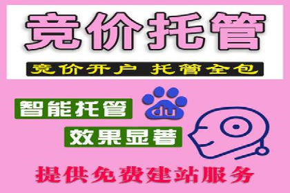 百度推广实战：从零到一的成长案例